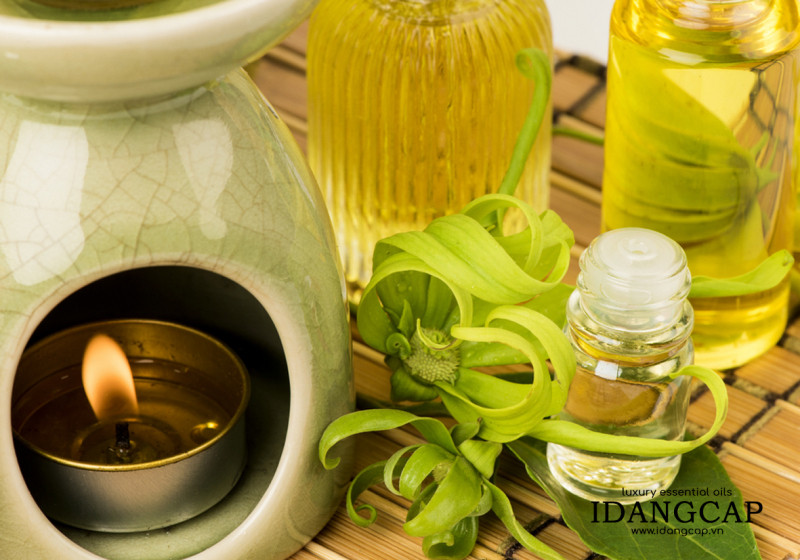 Tinh dầu Ngọc Lan Tây Nguyên Chất – Ylang Essential Oil