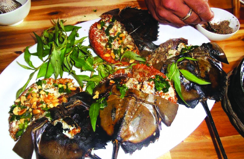 Sam biển nướng, món ăn độc đáo nhất vùng biển Quảng Ninh