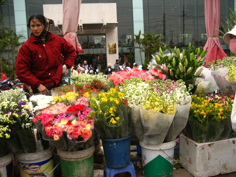 Thú chơi hoa ngày tết là một nét đẹp văn hóa của người Việt