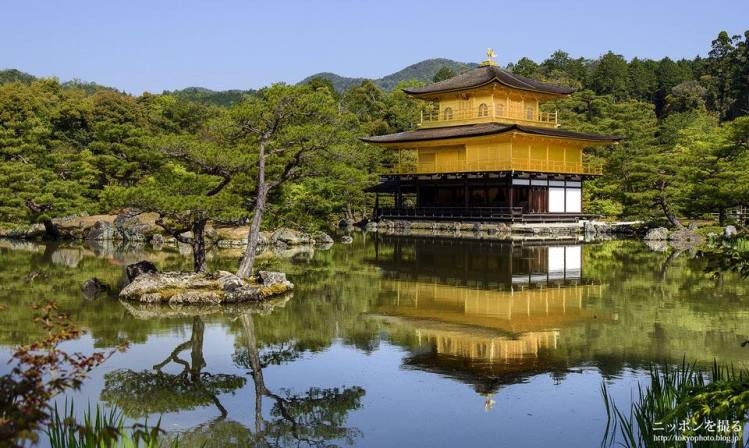 Chùa vàng Kinkakuji nổi bật giữa màu xanh của thiên nhiên.