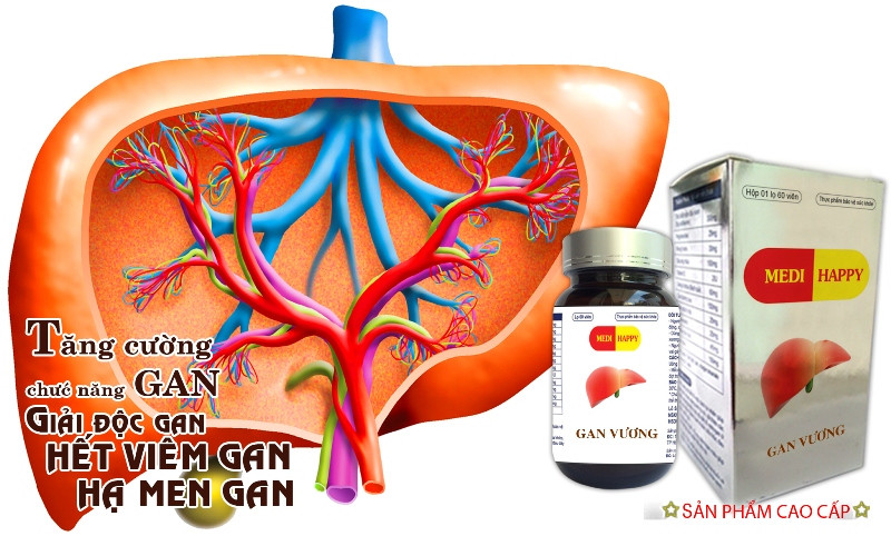 Gan Vương – Thảo dược hỗ trợ điều trị viêm gan, xơ gan, men gan cao