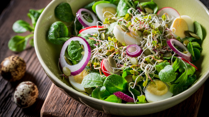 Gợi ý: Salad cải xanh, rau mầm