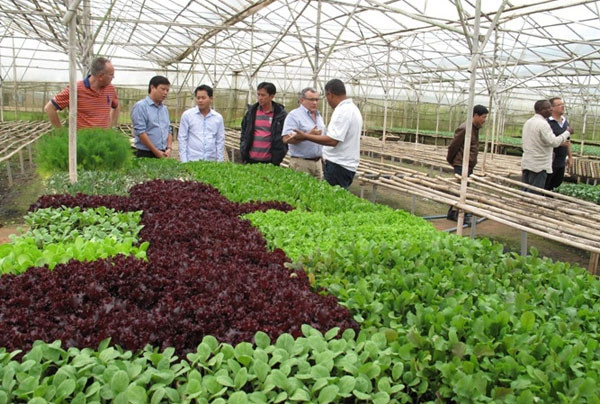 Du khách tham quan trang trại Đà Lạt GAP