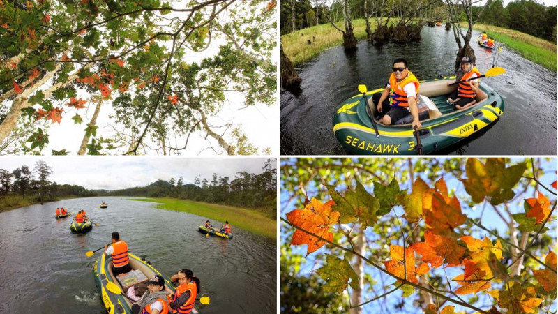 Chèo thuyền trên hồ Tuyền Lâm để vào khu rừng lá phong đang thay màu áo