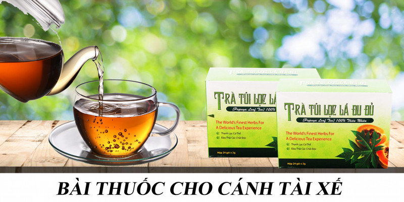 Chiết xuất 100% lá đu đủ Việt Nam thiên nhiên