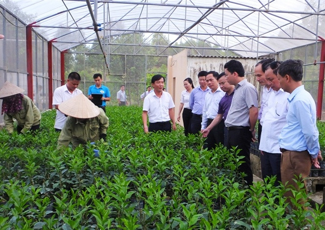 Trung tâm cây giống Học Viện Nông Nghiệp Việt Nam l