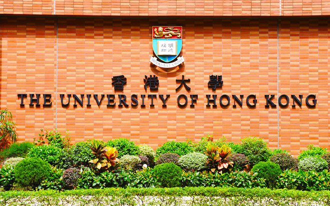 The university of Hong Kong