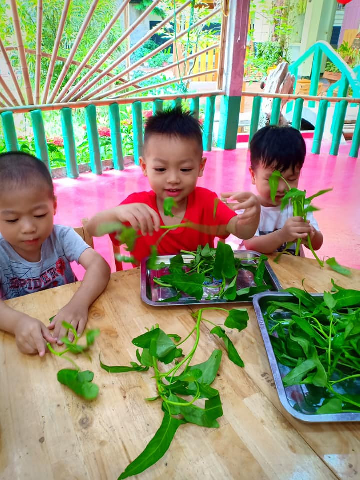 Mầm non Làng Hạnh Phúc mong muốn nuôi dưỡng, khơi gợi để nhận biết được các em bé của mình là ai, con giỏi gì, thích gì và con cần hướng dẫn, giúp đỡ gì để phát triển bản thân