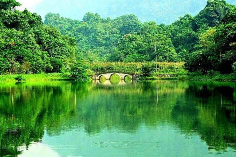 Vườn quốc gia Cúc Phương có diện tích là 25.000ha và cũng là rừng quốc gia đầu tiên của Việt Nam.