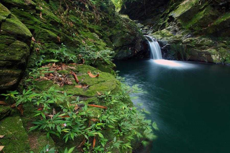 . Với những ai yêu thích sự đơn giản, hoang sơ, yên tĩnh thì vườn quốc gia Bạch Mã là điểm tới lý tưởng nhất.