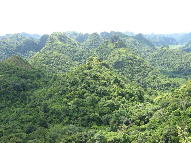 Khung cảnh thiên nhiên hùng vĩ, núi non trùng trùng điệp điệp, vườn quốc gia Cát Bà được UNESCO công nhận là khu dự trữ sinh quyển của thế giới.