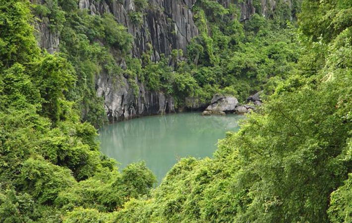 Vườn quốc gia Cát Bà là khu rừng đặc dụng của Việt Nam, khu dự trữ sinh quyển thiên nhiên thế giới.