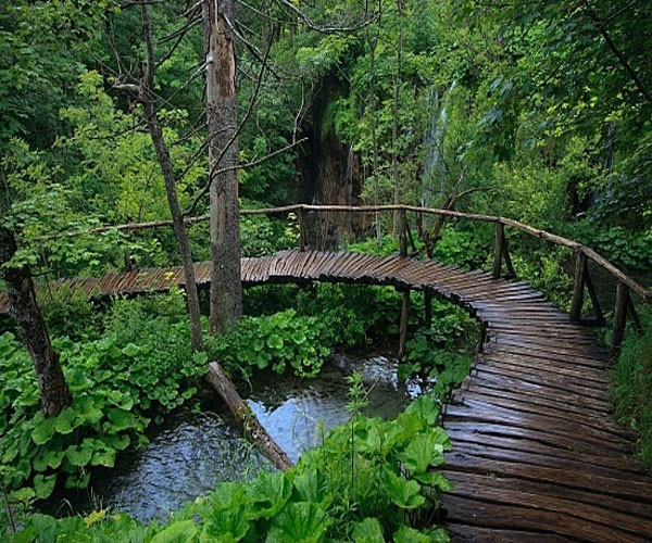 Đây là một trong những Vườn Quốc gia của Nam Bộ còn giữ được nguyên vẹn khu rừng già nguyên sinh.