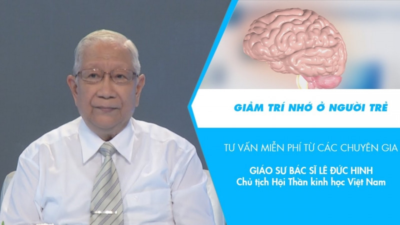 Giáo sư, Tiến sĩ Lê Đức Hinh làm cố vấn cho một chương trình truyền hình