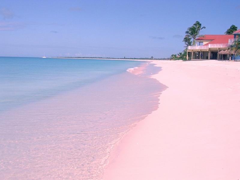 Bãi biển Barbuda với màu hồng tuyệt diệu