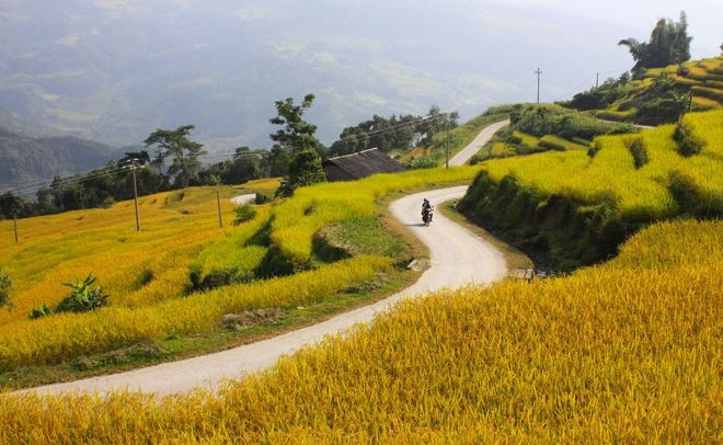 Em đi giữa biển vàng - Bài hát cho trẻ em tết thiếu nhi 1/6 hay nhất