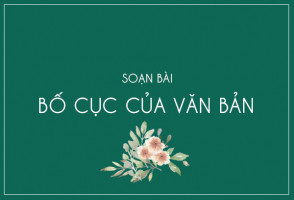 bai-soan-bo-cuc-cua-van-ban-hay-nhat