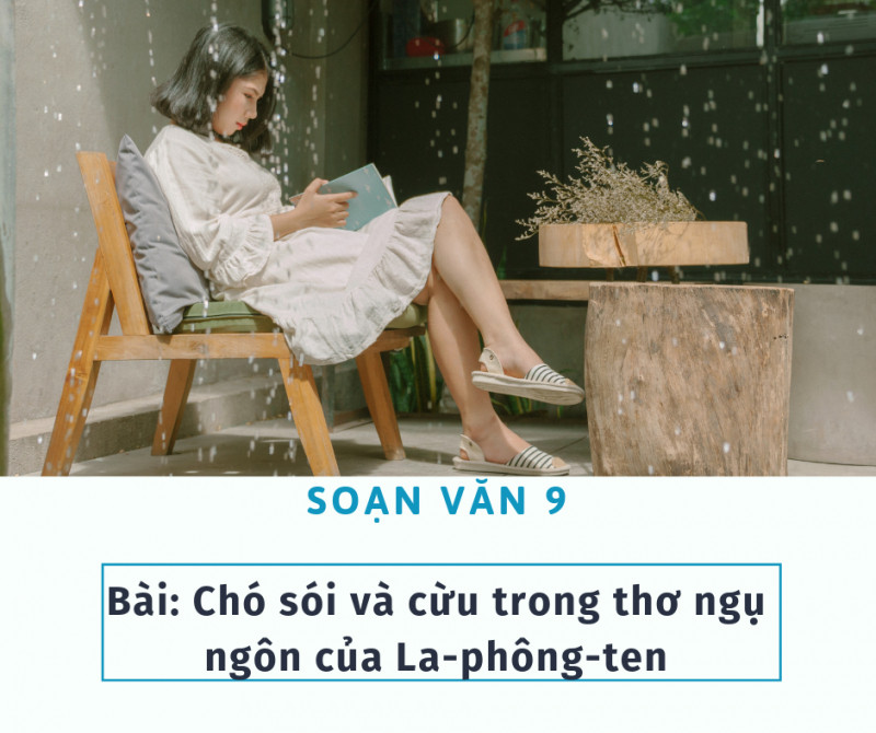 Ảnh minh họa (Nguồn internet)