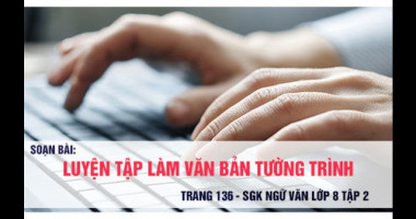 bai-soan-luyen-tap-lam-van-ban-tuong-trinh-lop-8-hay-nhat