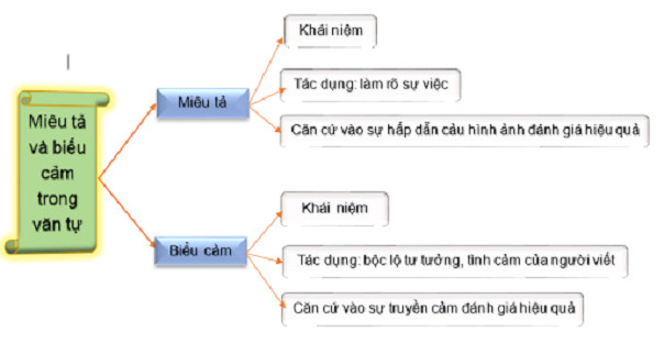 Ảnh minh họa (Nguồn internet)