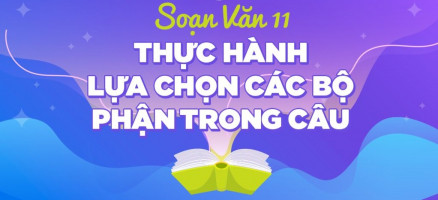 bai-soan-thuc-hanh-ve-lua-chon-trat-tu-cac-bo-phan-trong-cau-ngu-van-11-hay-nhat