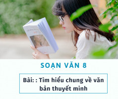 bai-soan-tim-hieu-chung-ve-van-ban-thuyet-minh-hay-nhat