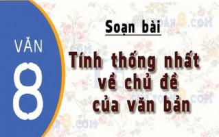 bai-soan-tinh-thong-nhat-ve-chu-de-cua-van-ban-hay-nhat