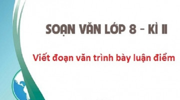 bai-soan-viet-doan-van-trinh-bay-luan-diem-lop-8-hay-nhat