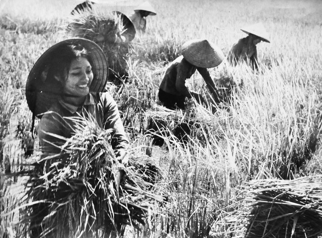 Hình ảnh những người phụ nữ Việt Nam đã in vào lòng mỗi người từ bao đời nay