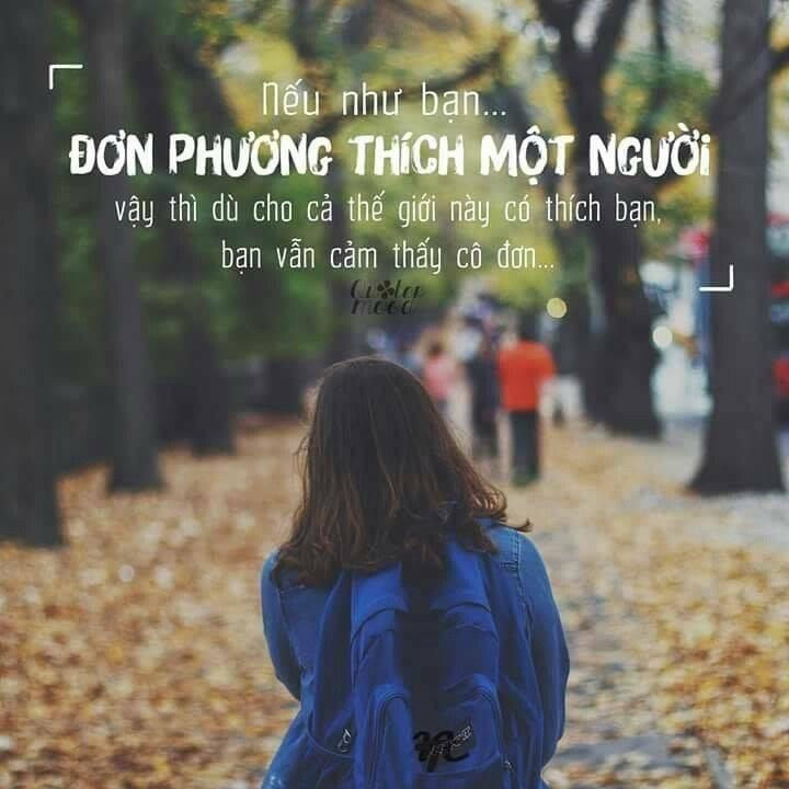 Tình Đơn Phương