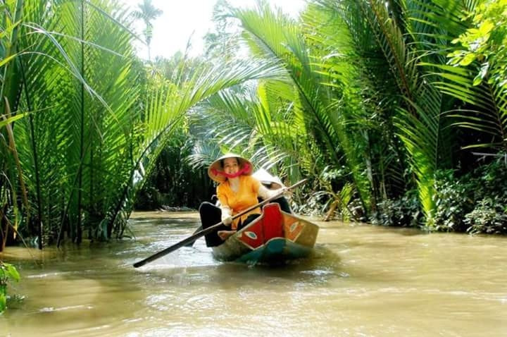 Ảnh minh họa (nguồn internet)