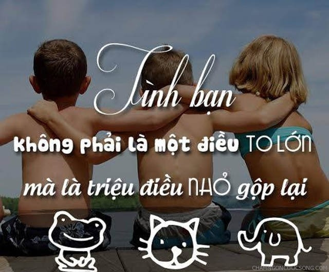 Tình bạn không phải là một điều to lớn mà là triệu điều nhỏ gộp lại.