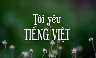 bai-van-nghi-luan-ve-giu-gin-su-trong-sang-cua-tieng-viet-hay-nhat