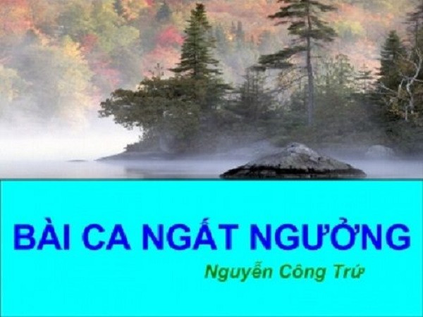 Ảnh minh họa (Nguồn internet)