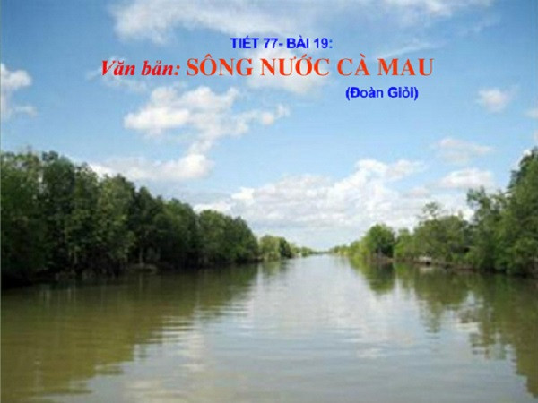 Ảnh minh họa (Nguồn internet)