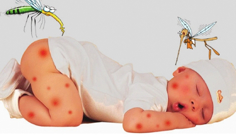 Bệnh sốt xuất huyết có thể gây tử vong ở trẻ nếu không được điều trị đúng cách và kịp thời