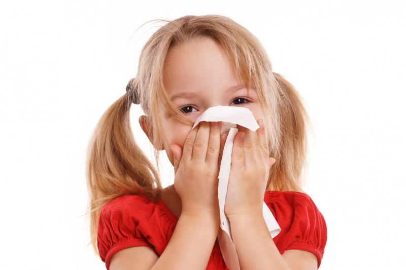 Bệnh sốt virus lây truyền từ người sang người qua đường hô hấp và tiêu hóa nên dễ tạo thành dịch.