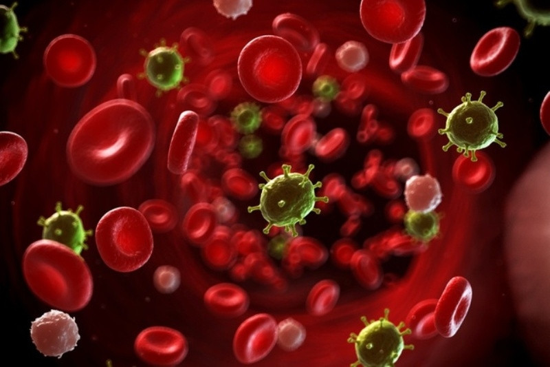 Các tế bào bạch cầu xâm lấn, phá hủy hồng cầu gây ung thư máu