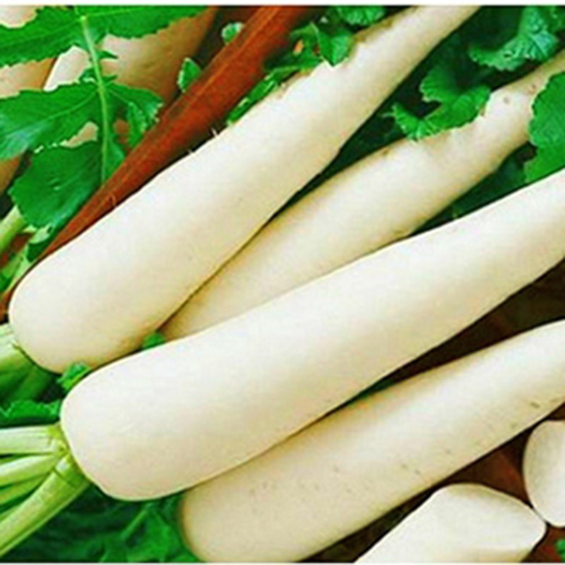 Củ cải trắng chứa nhiều vitamin và chất chống oxy hoá