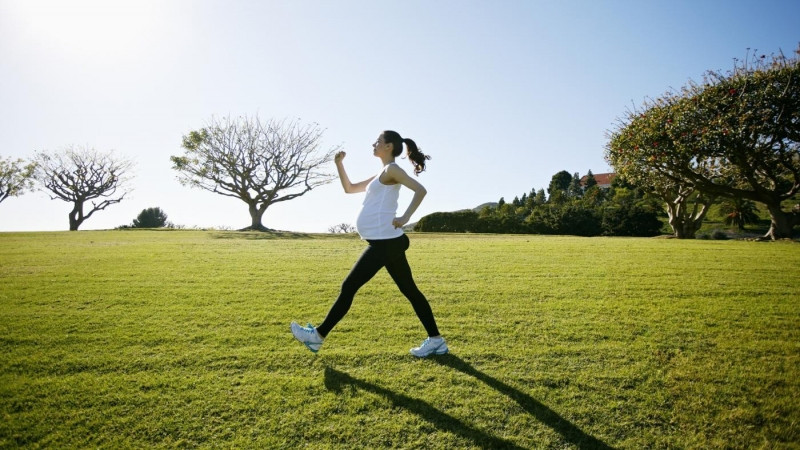 Đi dạo và hít thở không khí trong lành tốt cho hoạt động tim mạch