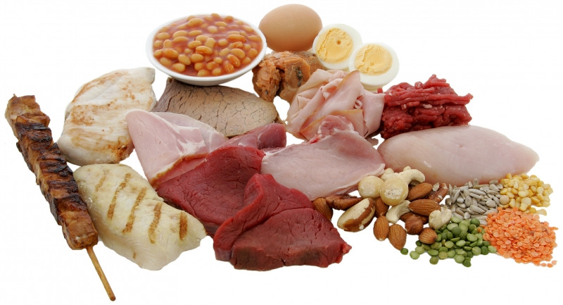 Hấp thụ Protein qua các loại thực phẩm hàng ngày