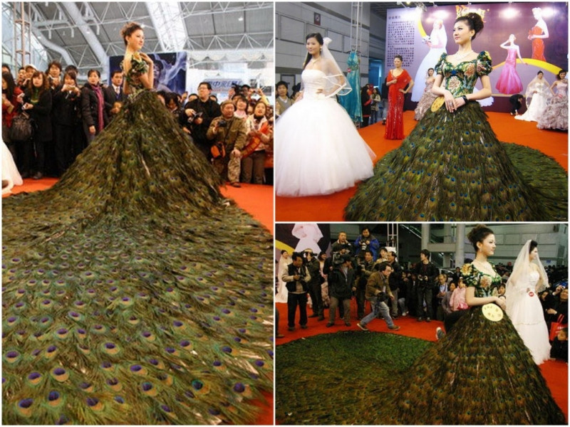 Váy lông công của Vera Wang – 33 tỷ đồng