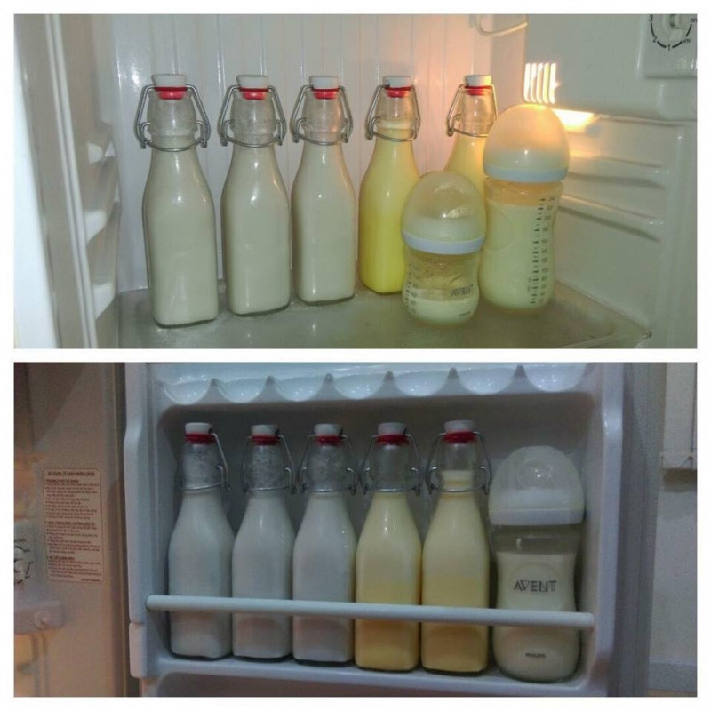 Bảo quản sữa trong tủ đông