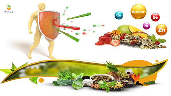 Tiêu thụ những thực phẩm có lợi cho sức khỏe như thực phẩm giàu protein, các loại rau củ tươi sạch giàu vitamin và khoáng chất