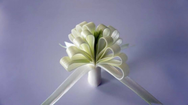 Tỉa hoa ngọc lan trắng từ củ tỏi