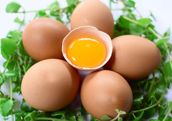 Trứng là một nguồn cung cấp protein dồi dào nên có chức năng phục hồi, cải thiện các tế bào và các mô bị hư hỏng.