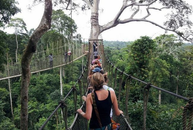 Cầu đi bộ Canopy