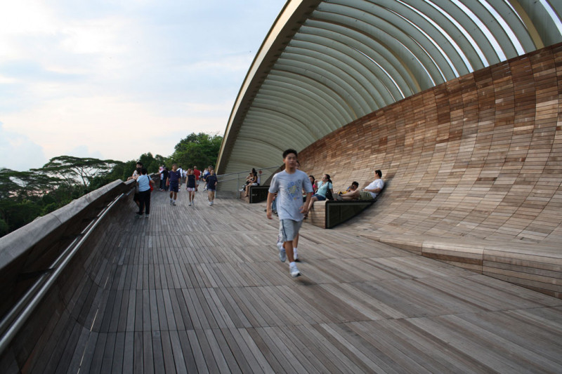 Cầu Henderson Waves,