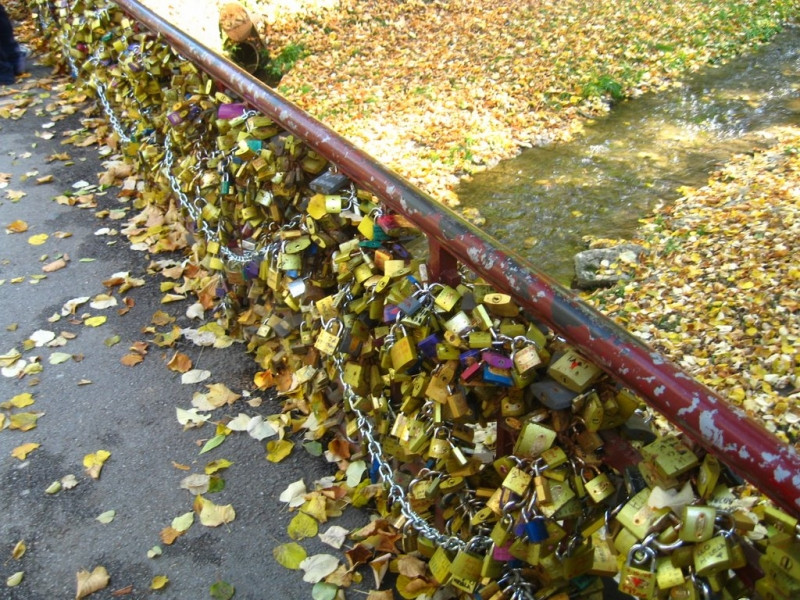 Mùa thu cây cầu trở nên lãng mạn hơn bởi sắc vàng của lá