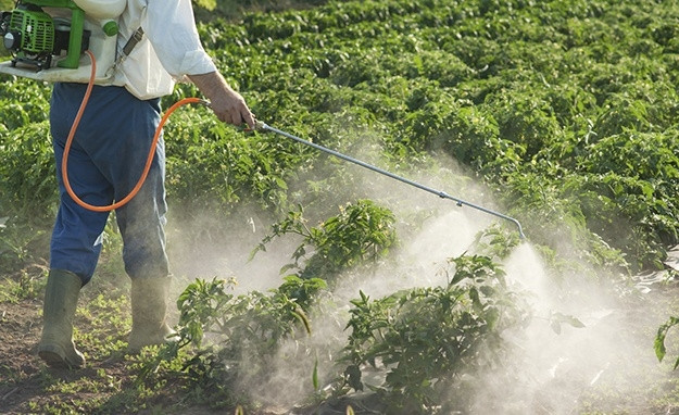 Thuốc diệt cỏ atrazine gây ô nhiễm nguồn nước